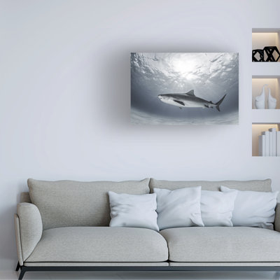 Ken Kiefer Tiger Rays Canvas Art