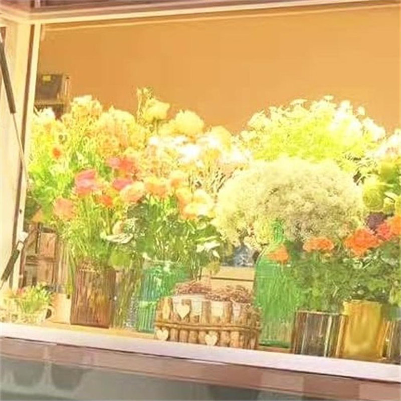 Two Strip Growing Lamp 2-Pack