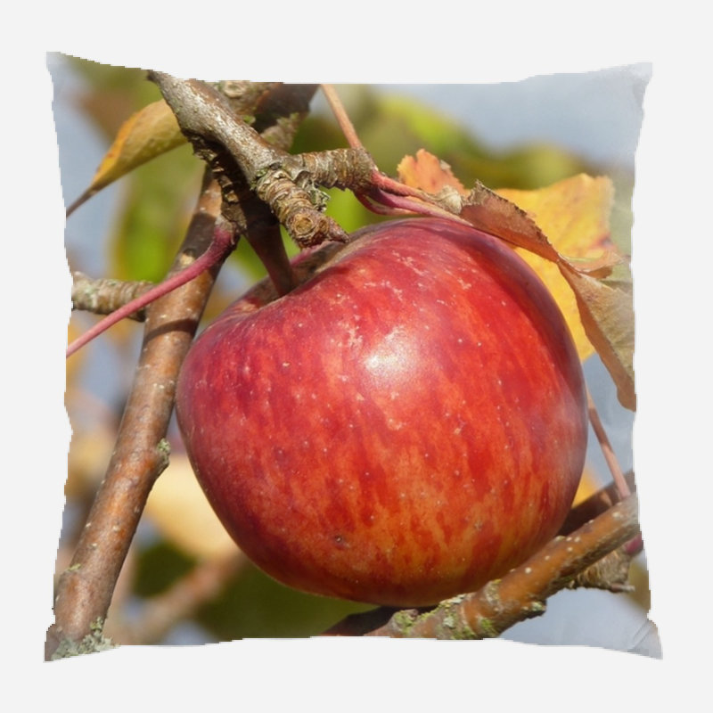 Outdoor Reversible Throw Pillow