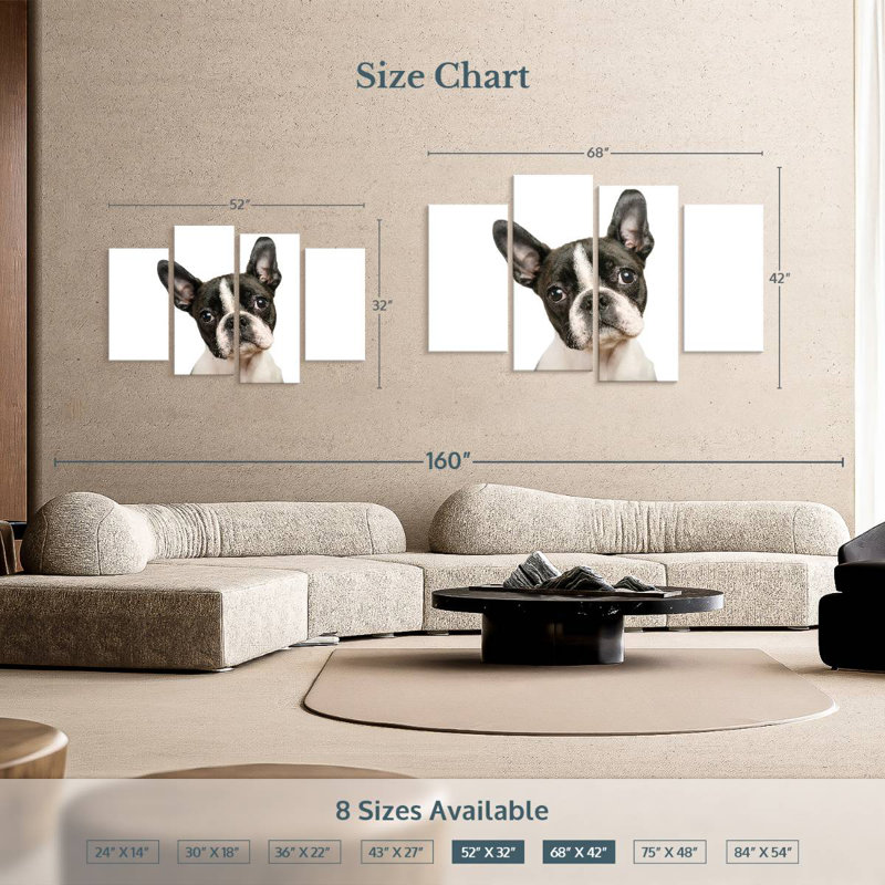 Brampt Little Boston Terrier, H 32 po x l 52 po