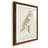 " Barn Owl "-1256061385-1256061386