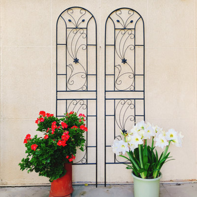 2 Pack Metal Garden Trellis 86.7" X 19.7" Rustproof Trellis For Climbing Plants Outdoor Flower Support Peacock Style Black
