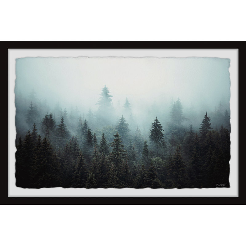 Foggy Pine Forest - Print, 41cm H x 61cm W x 3.81cm D, Black Picture Frame Paper