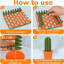 Jeu d'échecs Cactus Advanced Roll up Cactus