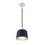Luminaire suspendu 1 lumière Ellisville-846314268