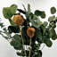 Véritables bouquets mélangés d'eucalyptus préservés - mélange de 12 - grand-994117521