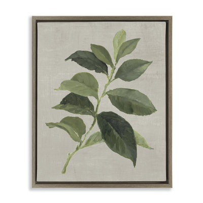 Cadre flottant Arabica Coffee Plant Leaf, design par Lanie Loreth