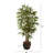 Thisbe 66'' Faux Bamboo Tree in Wood Planter