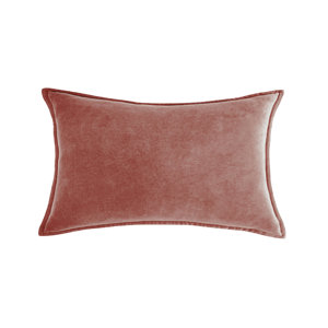 https://assets.wfcdn.com/im/99413624/resize-h300-w300%5Ecompr-r85/2224/222407910/Velvet+Throw+Pillow.jpg