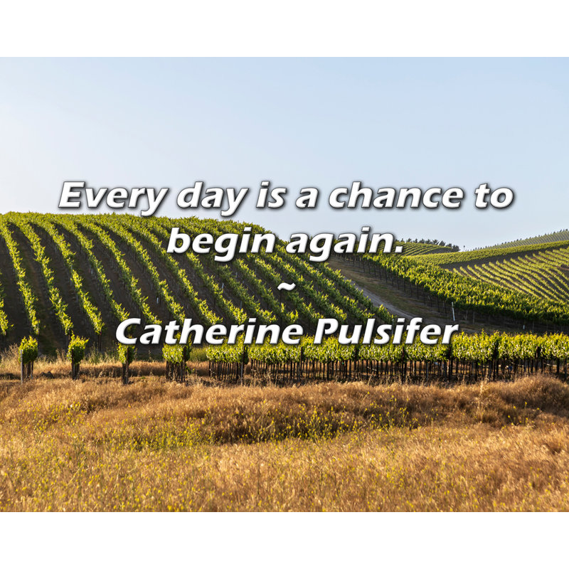 Catherine Pulsifer Citation: Chaque jour est une chance de recommencer., H 26 po x l 32 po
