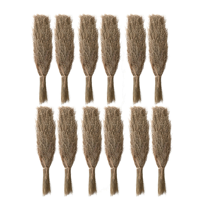 Star Grass Arrangement