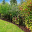 Clôture de jardin décorative 32 po (H) x 20 pi (L) Barrière d'extérieur en métal antirouille pour chien