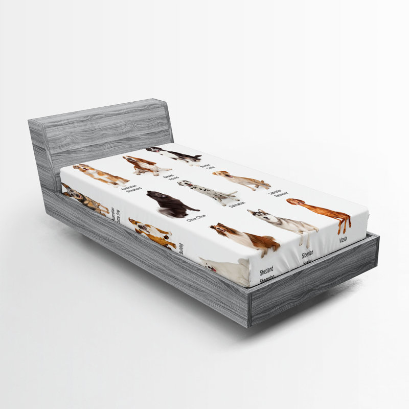 Multicolore Ambesonne, Drap-housse de taille simple