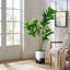 Arbre artificiel en pot moderne Ficus Lyrata-97704305-138916974