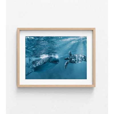 Ocean Wildlife Art Print: Blue Light Rays and Diving Animals