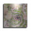 «Succulents 08» par Lightbox Journal «Succulents 08» par Lightbox Journal