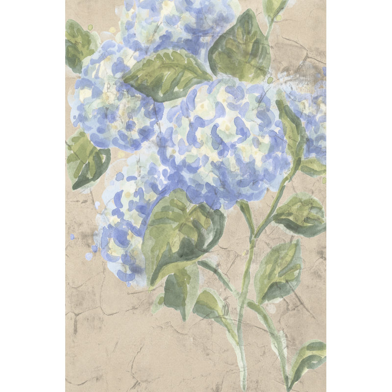 Tarneshia Vintage Hydrangea Fresco I by June Erica Vess - Wrapped Canvas Print, 122 cm H x 81 cm W