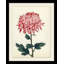 Pink Floral Wood Block I Painting
