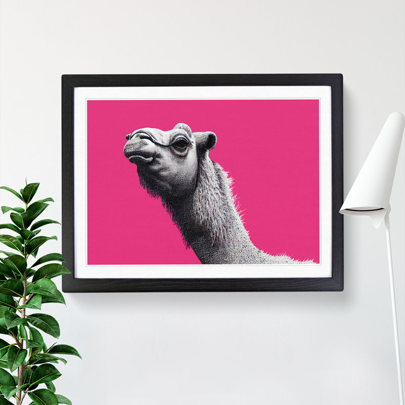 Legendary Camel - Single Picture Frame Print, Black Framed, 25cm H x 34cm W x 2cm D