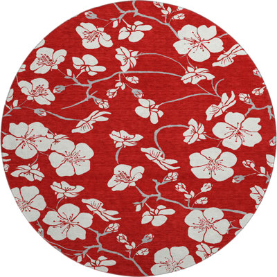 Premium Machine Washable Birchview AMF1032 Floral Rug