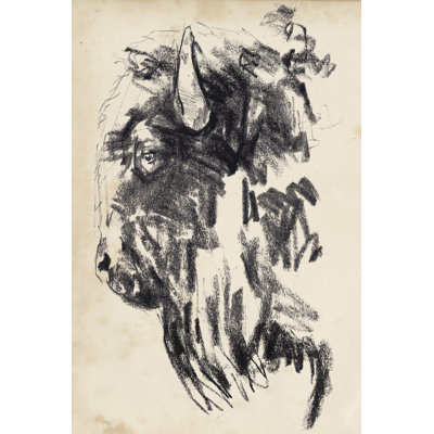 Bison Head Gesture II by Jennifer Paxton Parker 1 - Drawing Print
