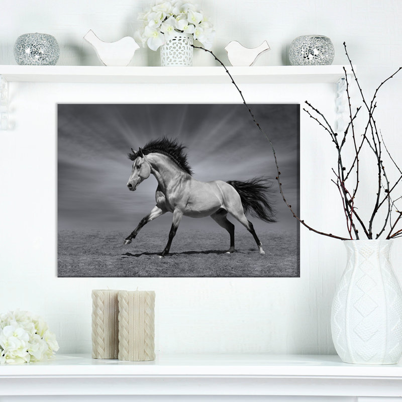 «Chestnut Horse in Motion», impression, H 20 po x l 20 po x P 1 po, Toile tendue