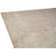 Hand Knotted Area Rug in Ivory