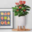 Concrete Effect Cylinder Round Planter on Hardwood Legs, Round Indoor Plant Pot Stand for Indoor Plants, Indoor Flower Pot with Plaited Pattern-703551394-703551395