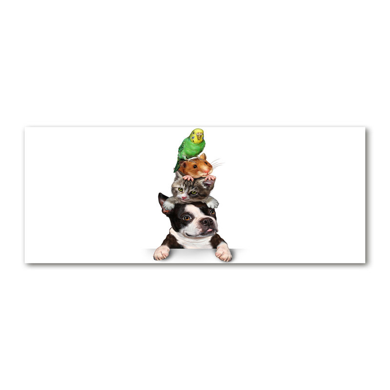 Group Of Animals - Wrapped Canvas Print