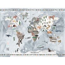 Castagnozzi Maps Non-Wall Damaging Wall Decal