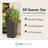 Tierra Verde 2 Pack Indoor Outdoor Self Watering Planter, Symphony, 15 x 28 in.