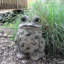 Statue de jardin fantaisiste crapaud «Stretch»-91290559-123174685-131275972