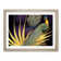 Captivating Peacock - Single Picture Frame Print