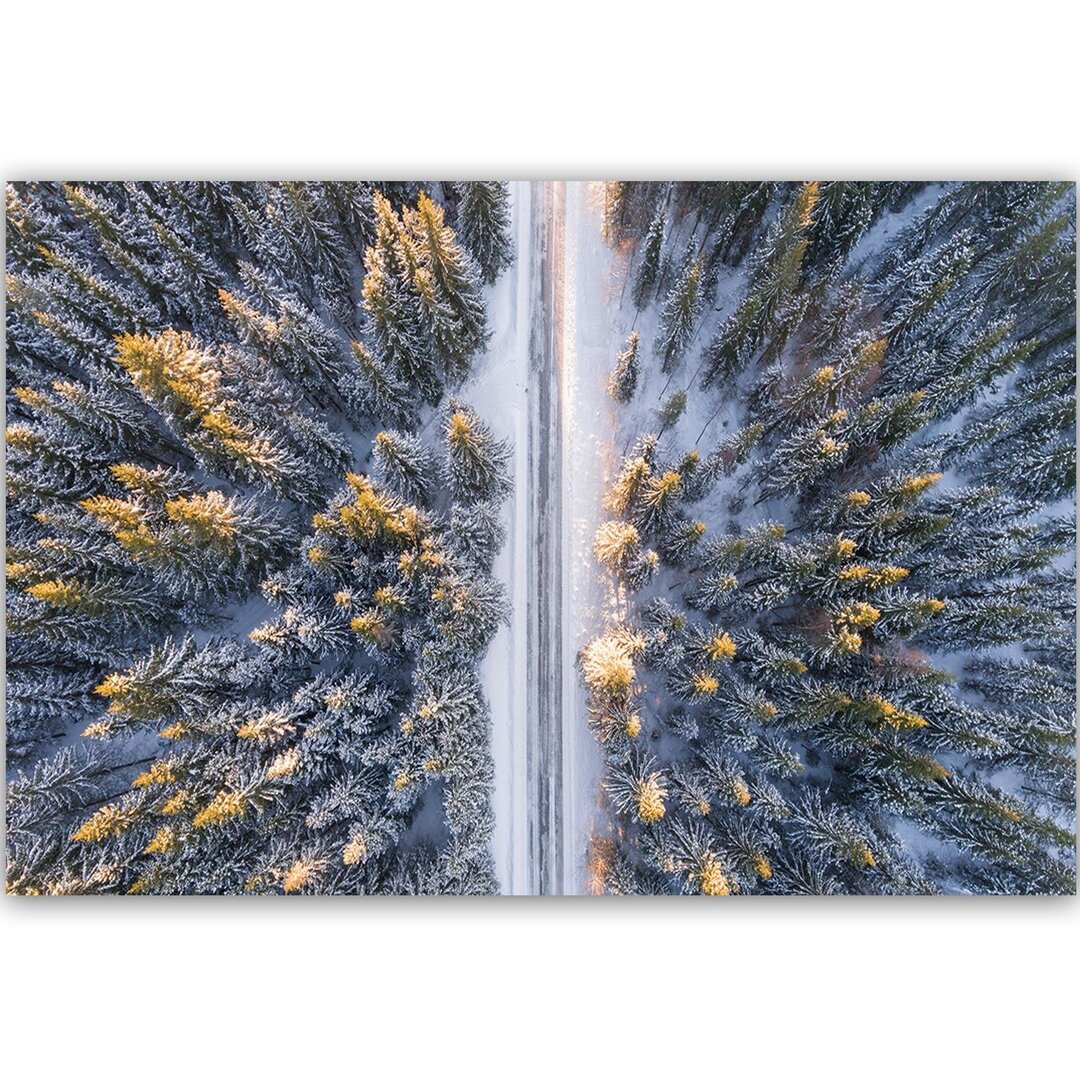 Leinwandbild Winterwald aus der Vogelperspektive