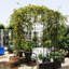Pavillon de jardin en fer 81,3 po x 114,2 po, arche de jardin, noir, écaillage