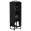 Accent Cabinet