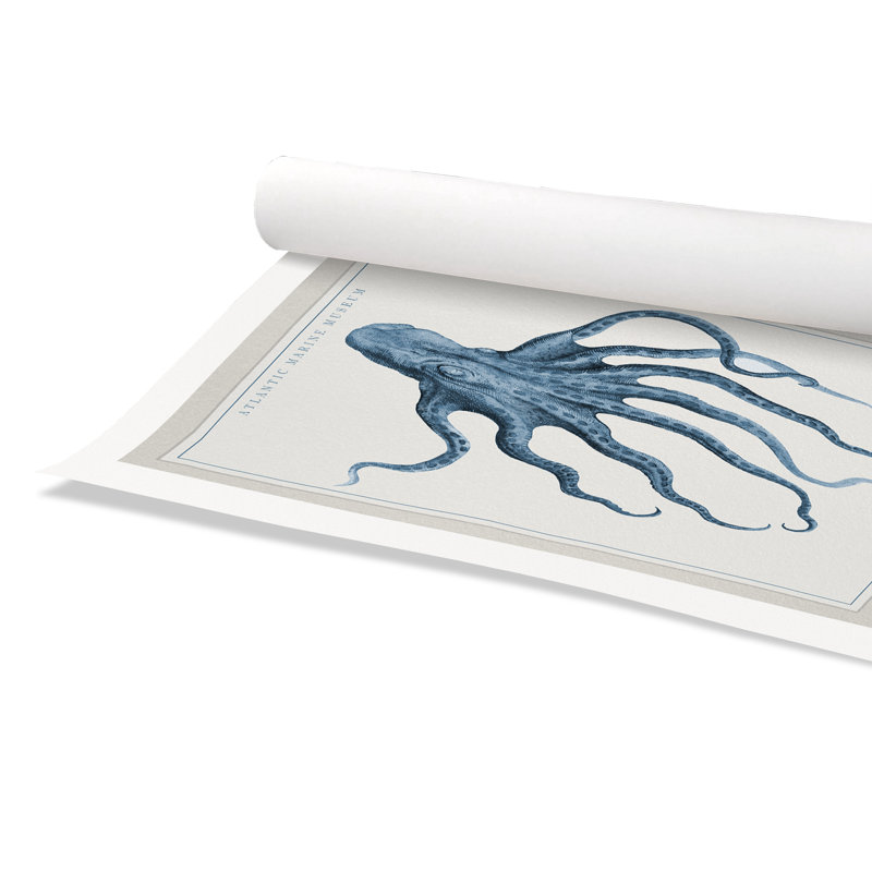 Atlantic Marine Museum Octopus I - impression, Papier, H 16 po x l 12 po x P 0,1 po