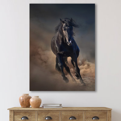 Portrait d'un cheval étalon Purius I - impression maison de campagne