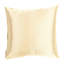 Square Pillow Cover & Insert