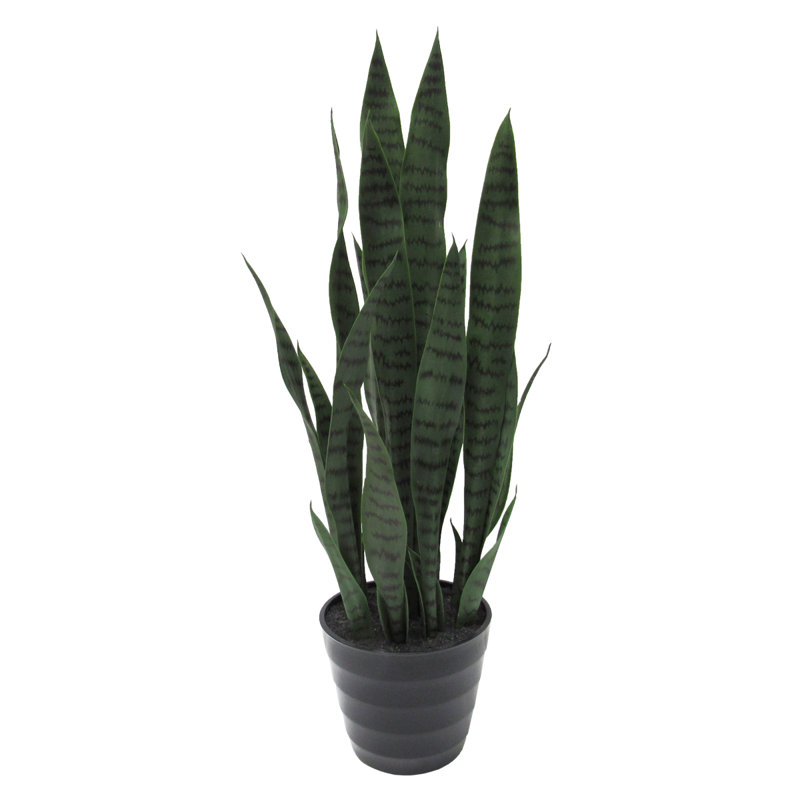 Plante de serpent artificielle Sansevieria en pot, Vert foncé, 32" H x 10" W