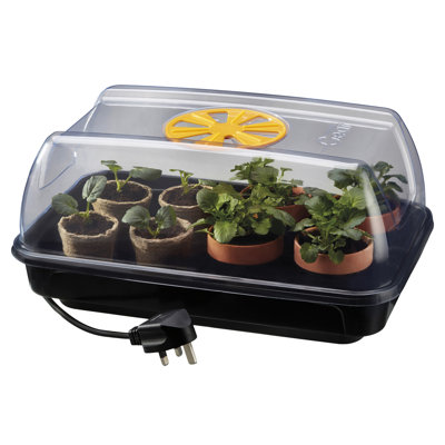 1.5 Ft W x 1 Ft D Cold Frame