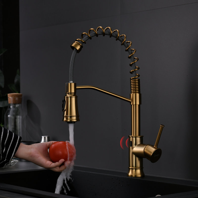 FLG Pull Down Touchless Kitchen Faucet