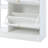 Modern Shoe Cabinet With 4 Flip Drawers, Multifunctional 2-Tier Shoe Storage Organizer With Drawers-44857814