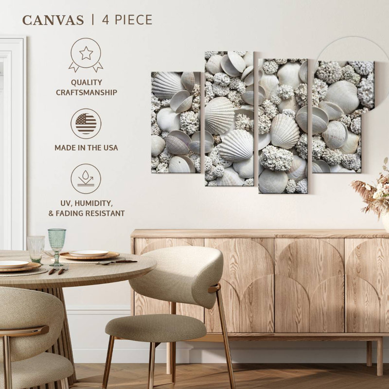 Coquillages blancs Aletra