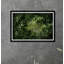 Athens Palm Print by Tim Klein