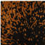 Alaisdair Splash Abstract Black Orange Area Rug-904268116