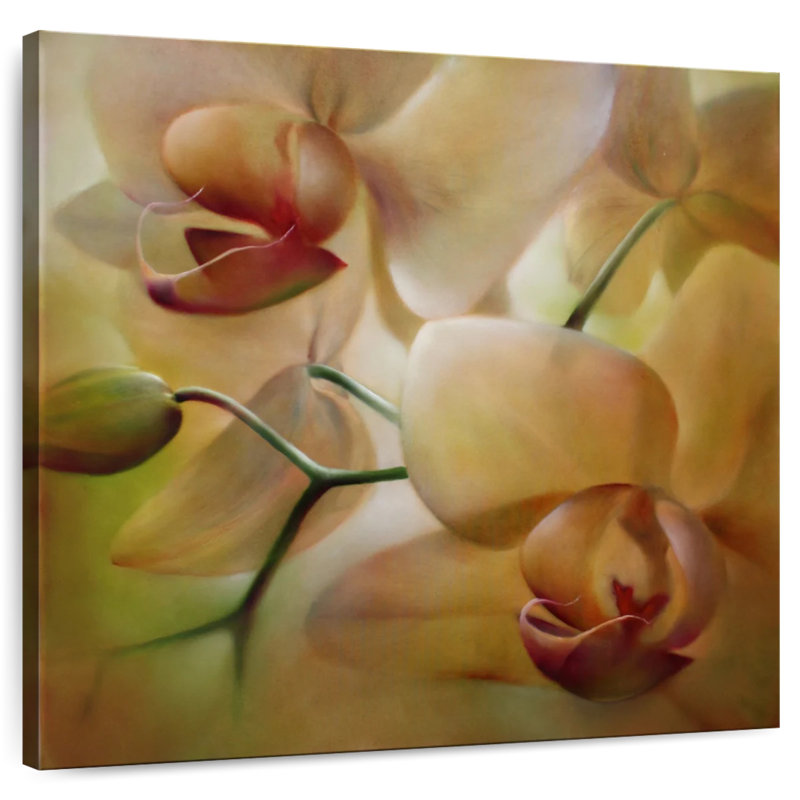 Harnek Orchid Beige