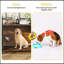 Grande cage pour chien Furniture