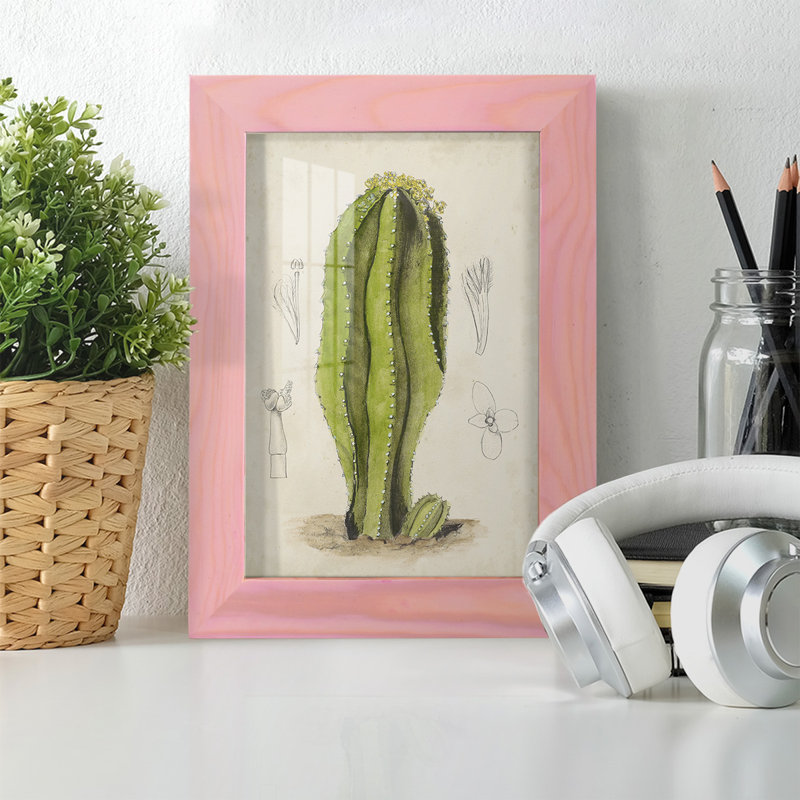 " Antique Cactus VI ", Pink, 8" H x 6" W x 1" D