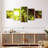 Harnek Sunlit Cedar Forest-106051368